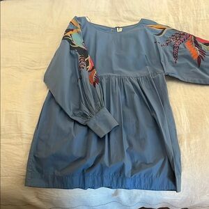 Blue Dress with Colorful Embroidered Sleeves